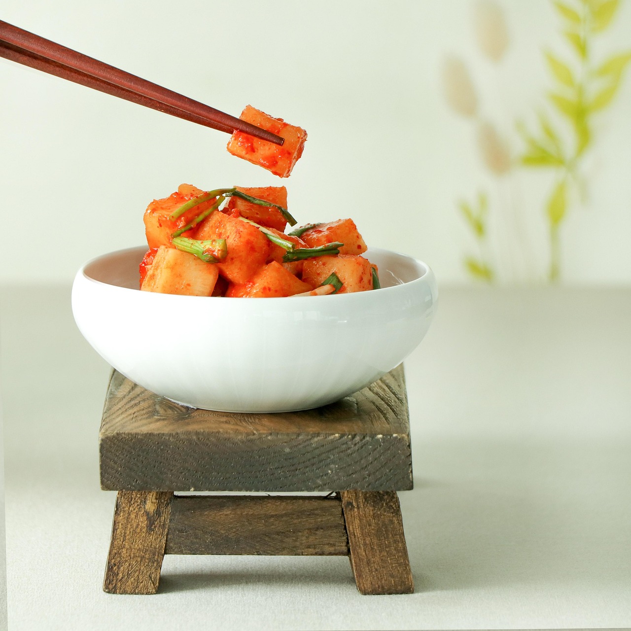 kimchi, dish, food, korean kimchi, korean food, kkakdugi, radish kimchi, traditional food, korean, cuisine, side dish, tasty, delicious, kimchi, kimchi, kimchi, kimchi, kimchi, korean food